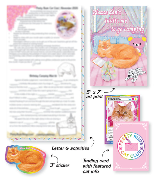 Monthly Snail Mail Cat Club