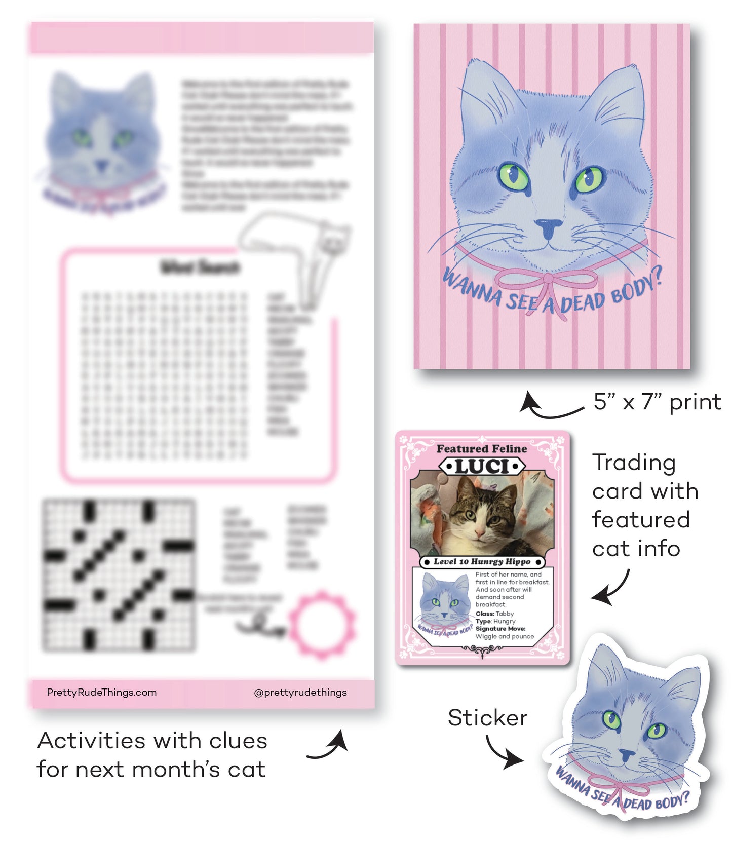 Monthly Snail Mail Cat Club