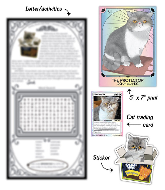 Monthly Snail Mail Cat Club
