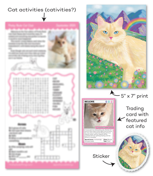 Monthly Snail Mail Cat Club