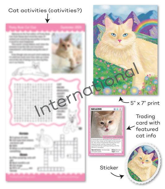 INTERNATIONAL - Monthly Snail Mail Cat Club